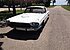 1966 Ford Thunderbird for sale 100951006